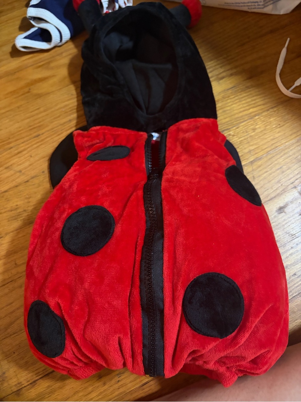 Kids Red and Black Ladybug Costume Hoodie